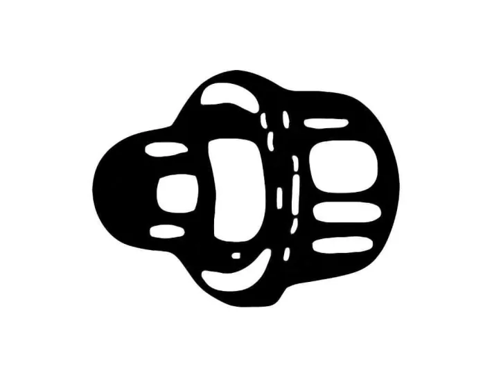 Adapter Rollenlager Dolphin 9983120