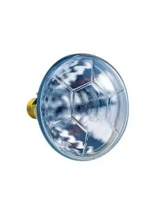 Lamp PAR38 E-27 120 W 24V AstralPool