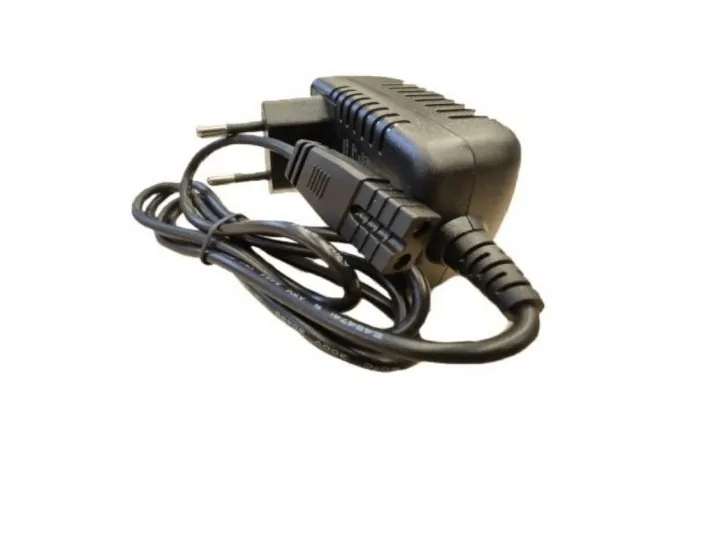 Ladegerät für elektrische Poolreiniger Gre...