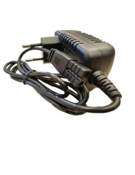 Ladegerät für elektrische Poolreiniger Gre VCB15 und CSPA P111313USBU18