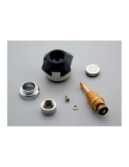 Knob with shower adapter 2 shower heads AstralPool 440104060602