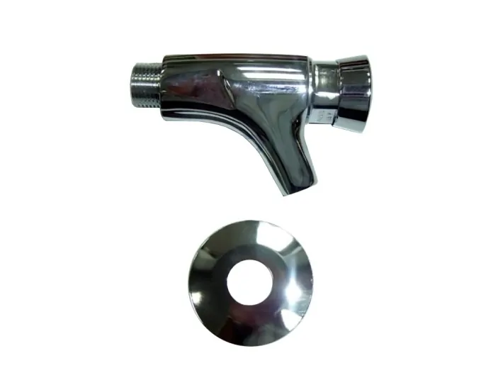 AstralPool 4401041407 footbath shower timer faucet