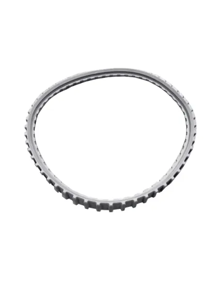 AstralPool PP00949CG Cinghia per pulitori per piscine