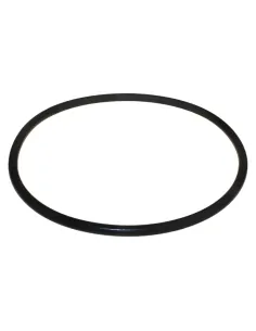 O-Ring O-Ring Dossi-3 AstralPool Dispenser 4408010702