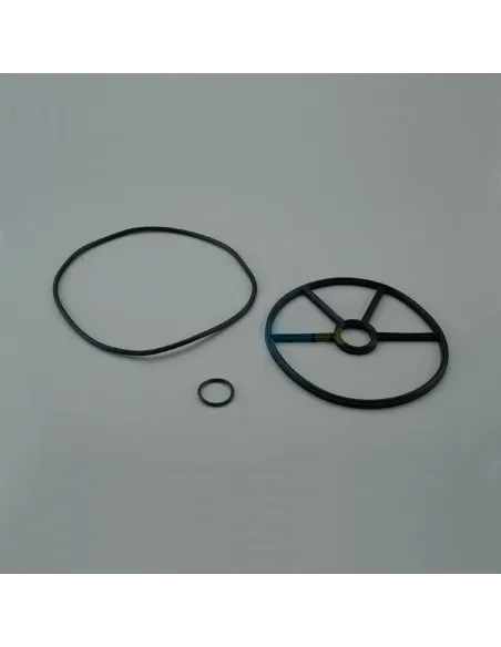 KIT Juntas para válvula selectora 2" 1/2 AstralPool