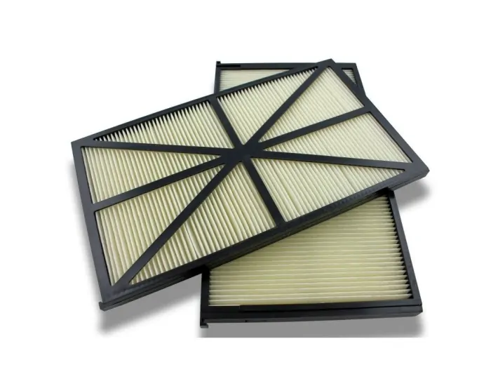 Replacement of 2 Cartridge Filters for AquaVac...