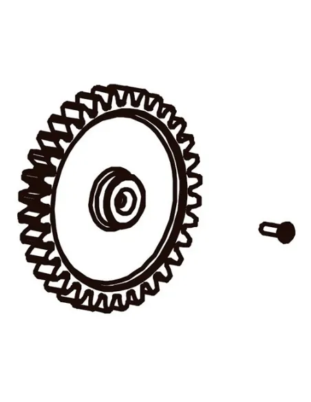 Piñon engranaje Zodiac XA CNX Voyager (2 Unidades) R0895600