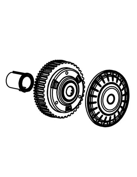 Rueda limpiafondos Zodiac XA CNX Voyager R0897300