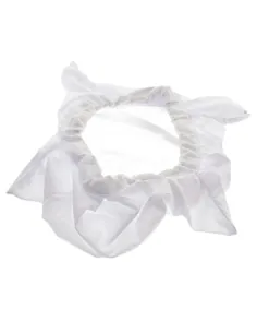 Fijnfilterzak 70 micron Dolphin 99954307-ASSY