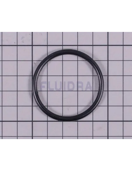 Joint torique pour l'onduleur AstralPool Aquasphere VSN