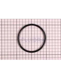 O-Ring per clorinatore Zodiac Ei