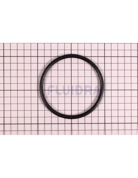 O-Ring per clorinatore Zodiac Ei