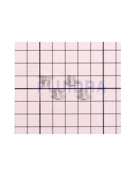 Tornillo 4 X 1/4'' fijación tarjeta electrónica (Pack 4 unidades) para Clorador Zodiac Ei