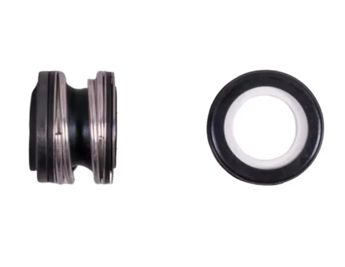 Tenuta meccanica AstralPool Pompa Boise 4405010714