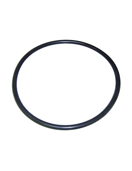 O-ring afdichting voor AstralPool Clorimax