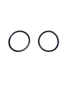 O-Ring per uscita laterale AstralPool Millenium 66,04x5,33