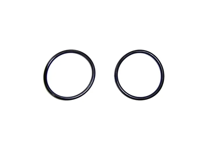 O-Ring per uscita laterale AstralPool Millenium...