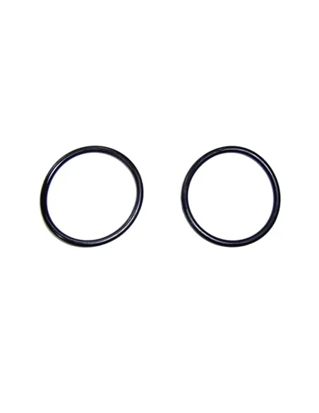 O-Ring per uscita laterale AstralPool Millenium 66,04x5,33