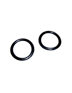 O-Ring D.60x8 per filtro AstralPool Aster