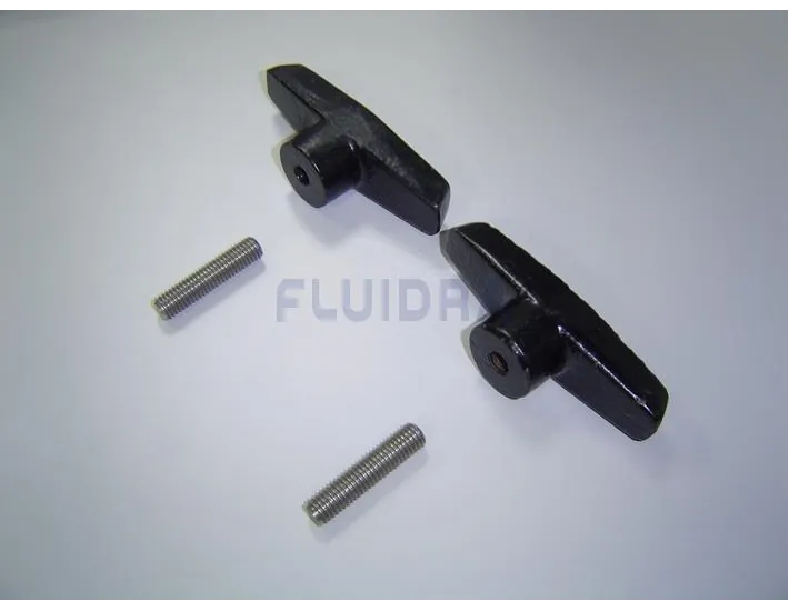 Vorfilterdichtung 2CV für AstralPool Aral...