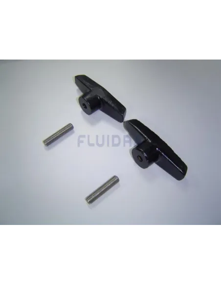 Vorfilterdichtung 2CV für AstralPool Aral SP-3000 Pumpe