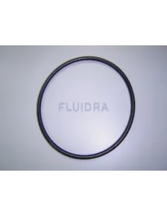 Gummidichtung 2CV für AstralPool Aral SP-3000 Pumpe 2