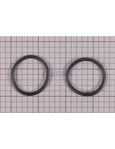 O-ring huls voor AstralPool Alaska plus pomp