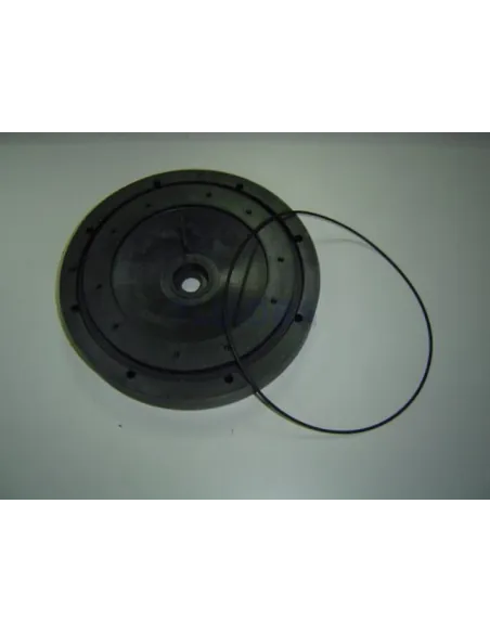 Mechanische afdichtingsflens voor AstralPool Alaska Plus pomp