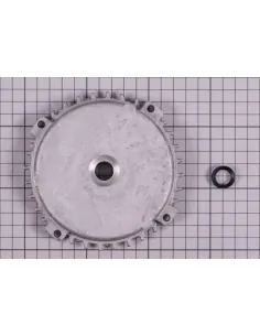 Achterdeksel motor C71 (1/3-1,25HP) voor AstralPool...