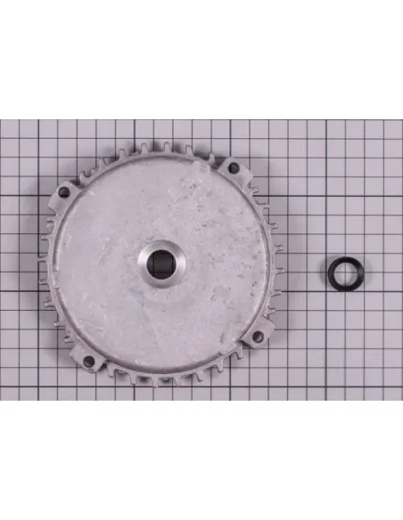 Rear cover motor C71 (1/3-1,25HP) for AstralPool Alaska plus Pump