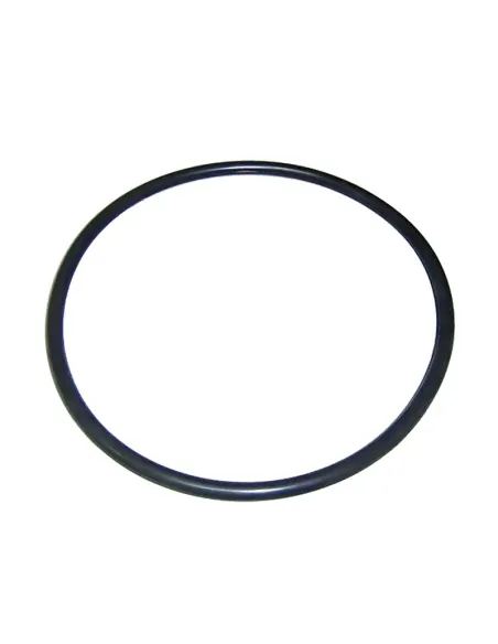 O-ring O-ring kop AstralPool Excatus volumetrische doseerpomp 20L