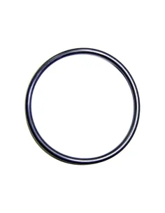 O-ring voor volumetrische doseerpomp AstralPool Excatus