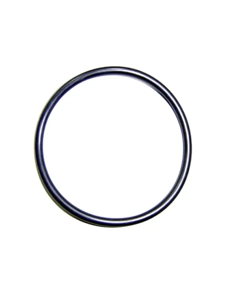 O-ring voor volumetrische doseerpomp AstralPool Excatus