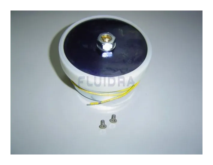 Complete elektromagneet AstralPool Excatus...