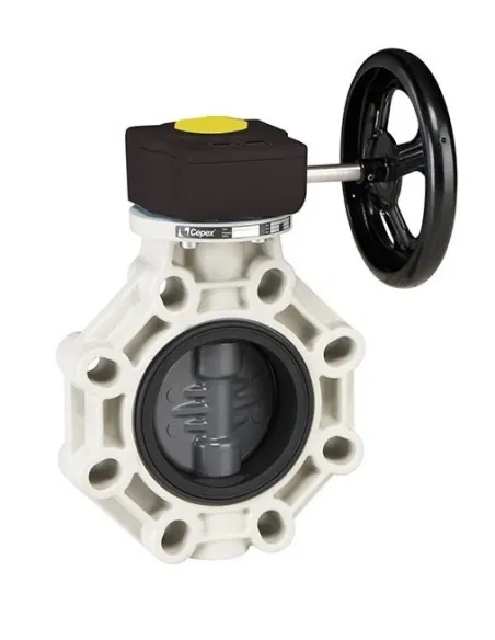 Vlinderklep industriële serie PVC roestvrij staal stam FPM met reduceer