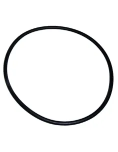 AstralPool Aral Pumpenvorfilterdichtung 4405020255