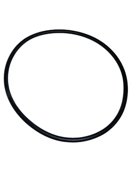 AstralPool Aral Pumpenvorfilterdichtung 4405020255