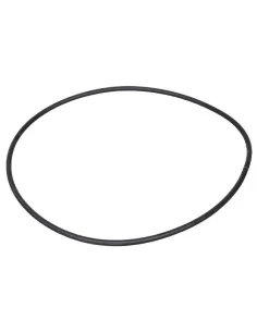 Aral C-1500 20-25 HP AstralPool Pumpe Vorfilterdichtung...