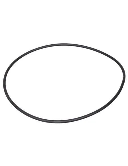 Aral C-1500 20-25 HP AstralPool pomp voorfilter afdichting 4405020535