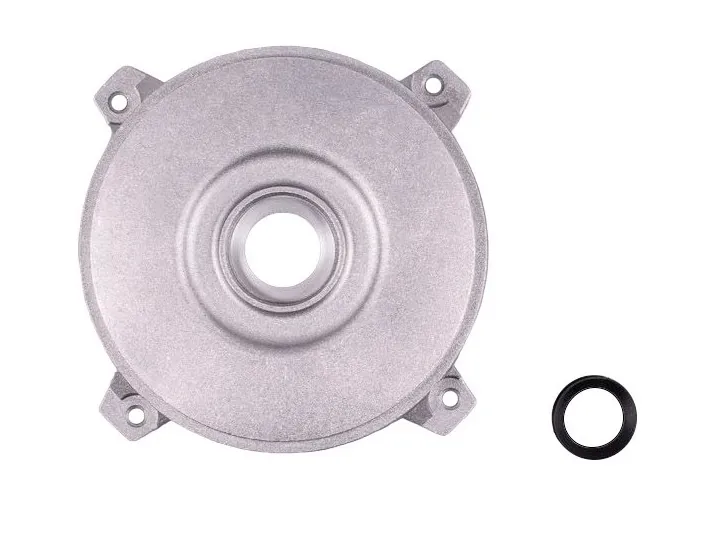 AstralPool Victoria Plus 3 HP II motor rear...