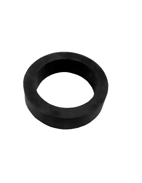 Vedação do braço do chuveiro AstralPool Angel D40 4401040021