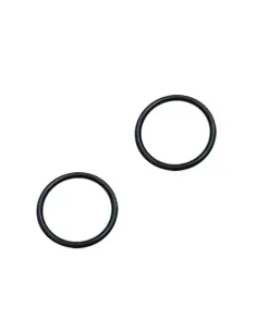 Set van 2 Angel AstralPool douche O-ringen 4401040266