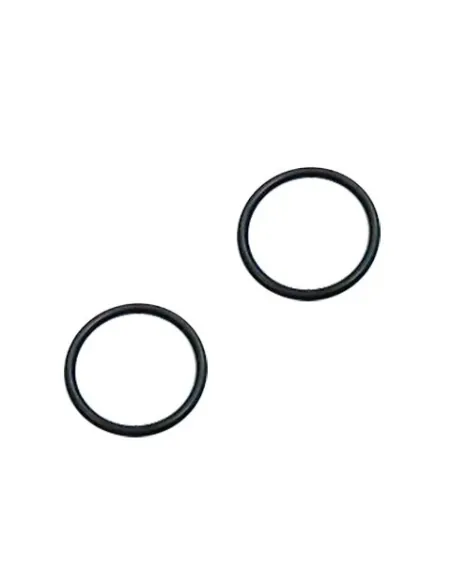 Conjunto de 2 anéis de vedação para duche Angel AstralPool 4401040266