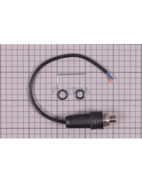 Pressostato + rondella + cavo 1 1/2" AstralPool 4404121501