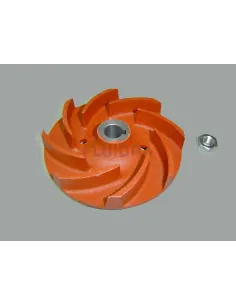 Aral SP-3000 3 HP Pompwaaier AstralPool 2