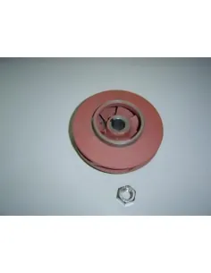 AstralPool Aral SP-3000 5,5 HP Pompwaaier