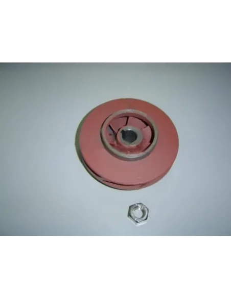 AstralPool Aral SP-3000 5,5 HP Pumpenlaufrad