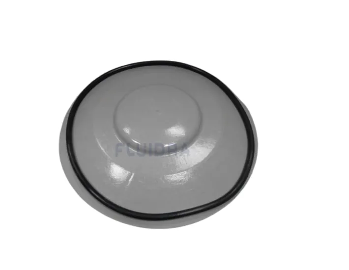 Tapa y junta prefiltro 4405040203