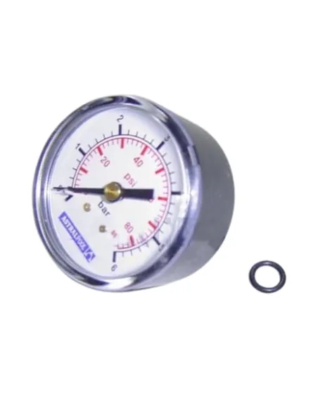 Manometro 1/8" 6Kg/cm filtro Berlín D.1050 - D.1200 AstralPool 4404161477
