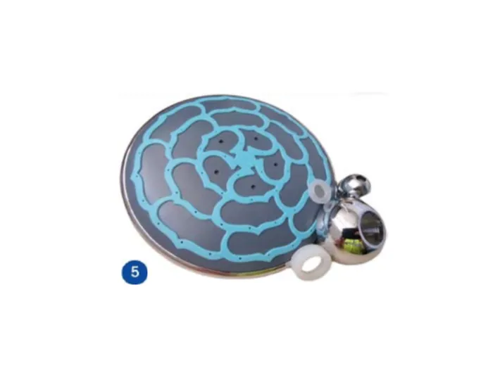 Shower Head Gre AR1030 65322011101B